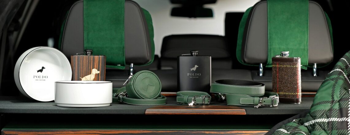 BMW X7 & dog adventure